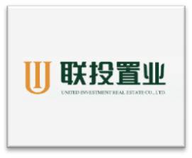 联投置业
